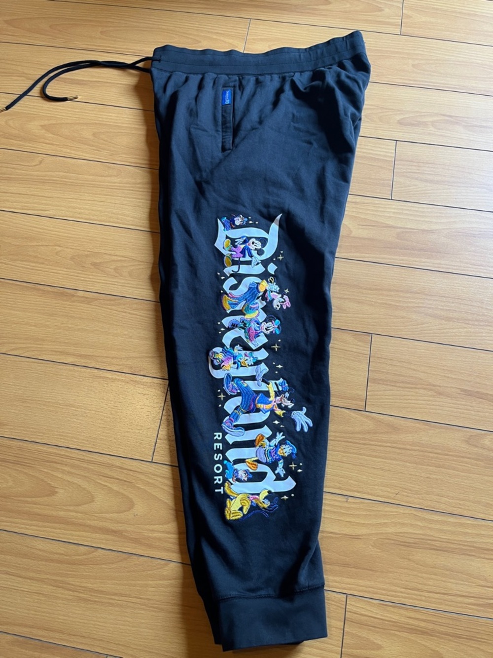 Disneyland Resort Men’s Joggers / Large